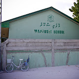 IMG_1064.jpg