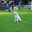 DSC_0033.JPG