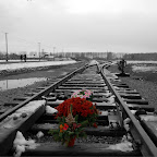 flowers and candles in auschwitz.jpg