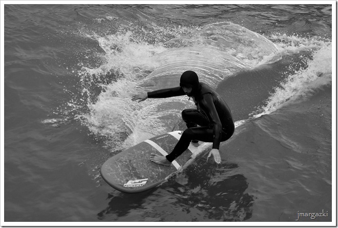 DSC_6565 DSC_6565