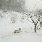 2012-02-05.jpg