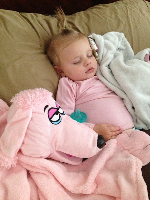 [rayne%2520poodle%25201%255B2%255D.jpg]