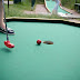 Sommerliga 2011 - [2] Minigolf
