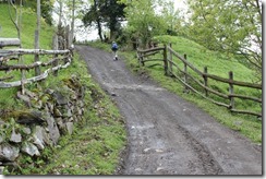 IMG_6058 IMG_6058