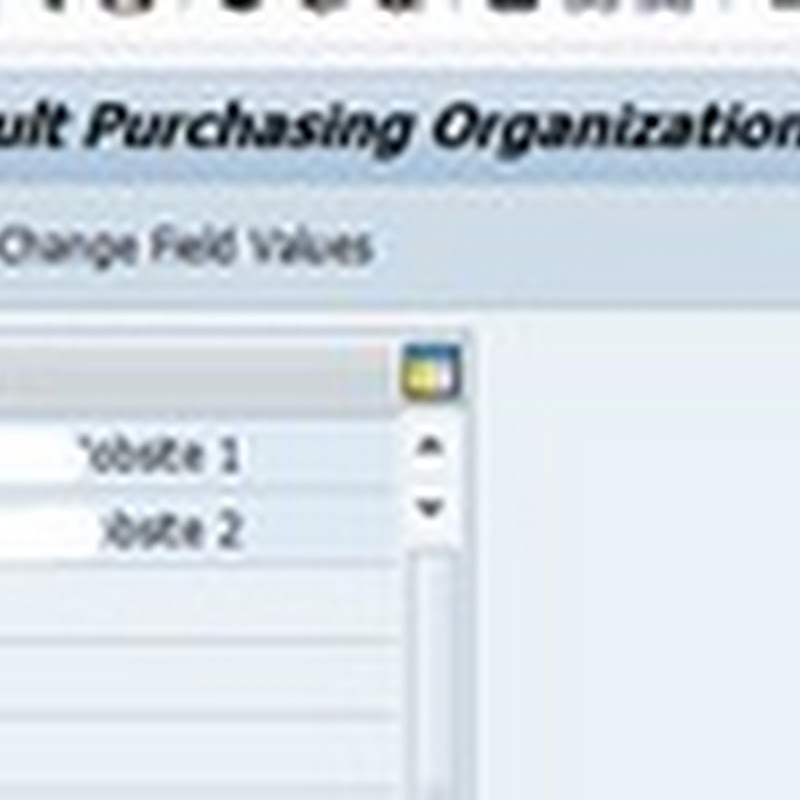 Purchasing info record not found in purchasing organization 1000
