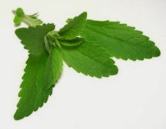 stevia-estevia-endulzante natural stevia-estevia-endulzante natural