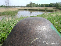 dsc06848.jpg