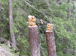 RecoUTMB2011 112.jpg