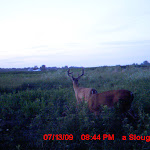 MDGC0047.JPG