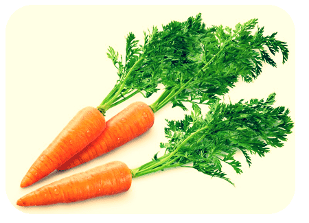 [carrot%2520for%2520gaining%2520weight%2520loss%255B14%255D.gif]