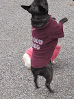 And I can jump on my hind legs!