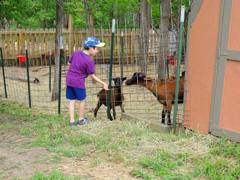 [DSCN8957%255B3%255D.jpg]