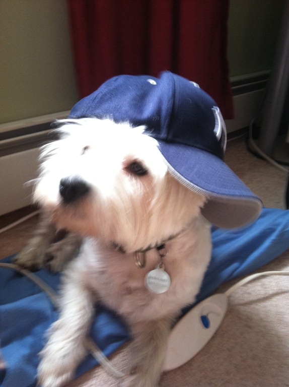 [2012.06.06%2520Yankee%255B4%255D.jpg]