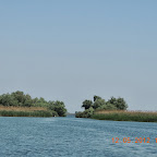 DSCN0215.JPG