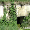 dsc06766.jpg