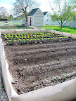 One of several vegetable gardens on the grounds. The IMP staff used chicken wire to keep rabbits out and shrouded the wire in burlap, which is a clever and very attractive solution.