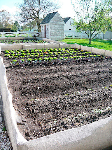One of several vegetable gardens on the grounds. The IMP staff used chicken wire to keep rabbits out and shrouded the wire in burlap, which is a clever and very attractive solution.