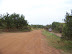 South Africa Day 1 - On Safari