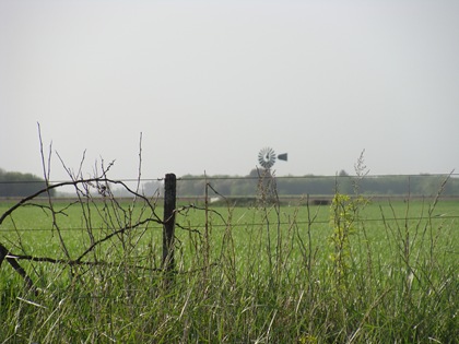 DSC08538 DSC08538
