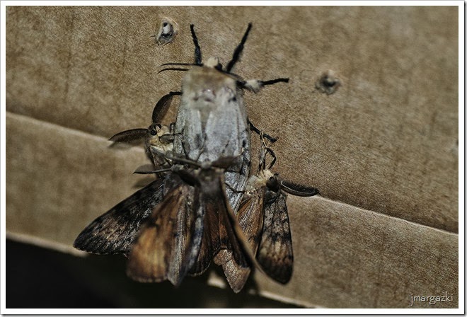 DSC_8303_01 DSC_8303_01