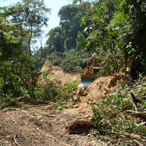 More digger destruction at Inti Wara Yassi. More digger destruction at Inti Wara Yassi.