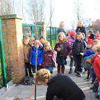 Boompjes planten in Mariasteen