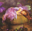 Sleaping Fairy