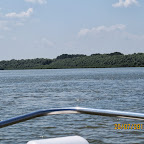 IMG_4259.JPG