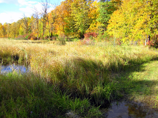 REA crossing on Mother North Star trail. Water running across the trail as result of excess rain this summer/fall