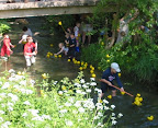 Duck Race