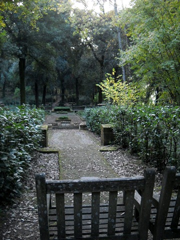 [Bosco%2520Ragnaia%2520082%255B6%255D.jpg]