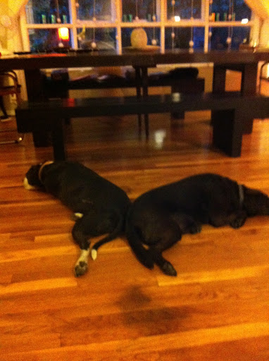 We're thankful for togetherness and tushles!
