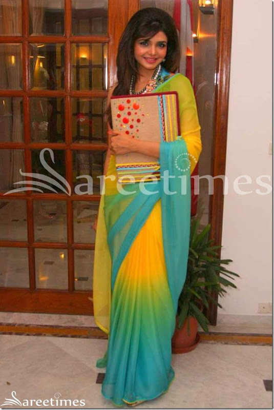Shweta_Tiwari_Dual_Color_Saree Shweta_Tiwari_Dual_Color_Saree