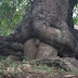 18523-220x220.jpg