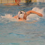 AZC-Polar Bears 14-04-2012