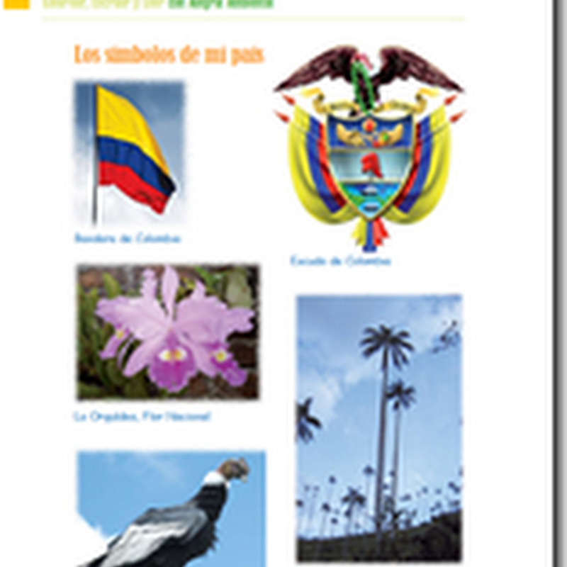  Jugar y Colorear  Símbolos patrios Colombia, himnos bandera y escudo de sus ciudades