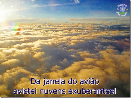 vista do avião1 vista do avião1