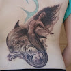 Mermaid and Dolphin