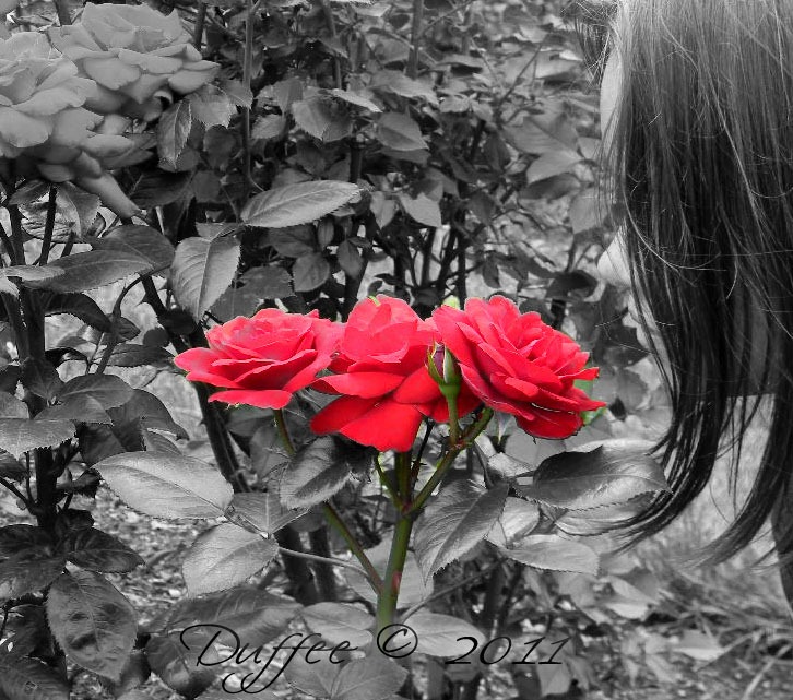 [Day%2520%252361%2520Smell%2520the%2520Roses%255B5%255D.jpg]