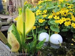 20120424 002