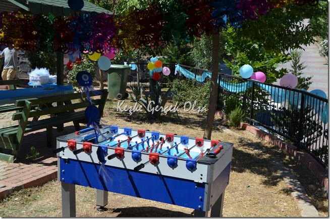 DSC_0787 DSC_0787