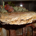 1472-3.JPG