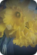 FxCam_1330358444164