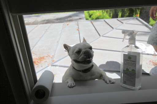 Twenty-six more windows?  You're joking, right?
