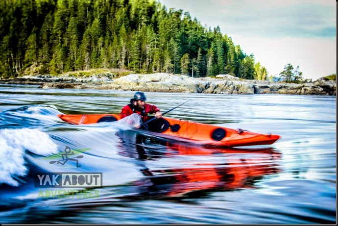 (c)Worldwildadventures-7355