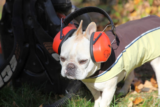 And last but not least - ear protection!  All set to blow!