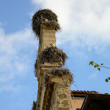 05/07. Belorado: condominio di gru sulla facciata della chiesa.