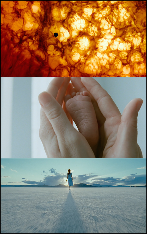 Tree of Life Cinematography