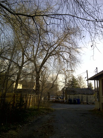 [IMG-20120216-02790.jpg]