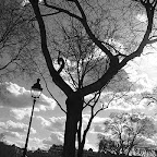 20100401_115.JPG